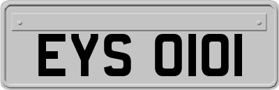 EYS0101