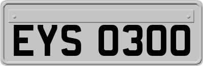 EYS0300