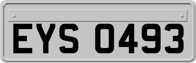 EYS0493
