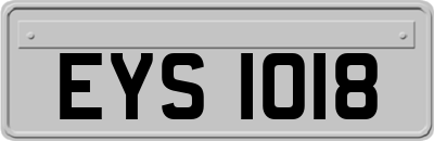 EYS1018