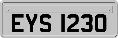 EYS1230