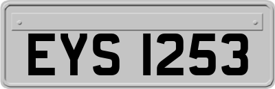 EYS1253