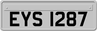 EYS1287