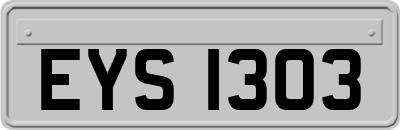 EYS1303
