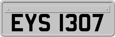 EYS1307