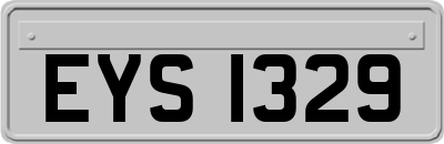 EYS1329