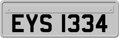 EYS1334