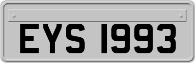 EYS1993