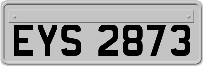 EYS2873