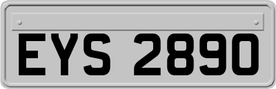 EYS2890
