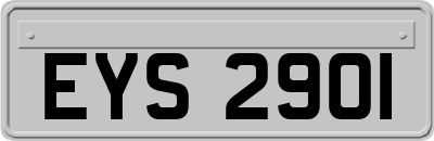 EYS2901