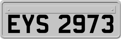 EYS2973