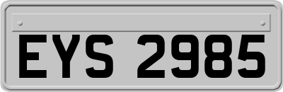 EYS2985