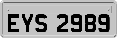 EYS2989