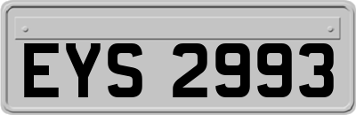 EYS2993