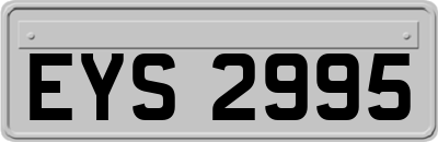 EYS2995