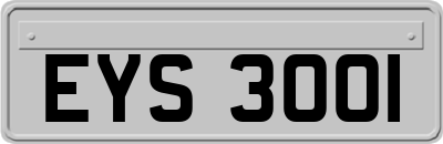 EYS3001