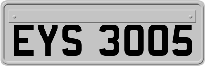 EYS3005