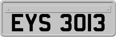 EYS3013