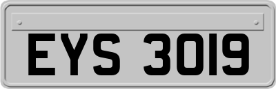 EYS3019