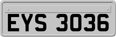EYS3036