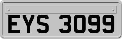 EYS3099