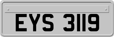 EYS3119