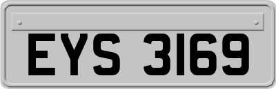 EYS3169