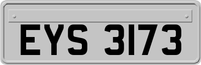 EYS3173
