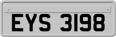 EYS3198