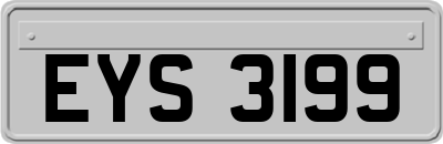 EYS3199