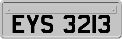 EYS3213