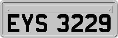 EYS3229
