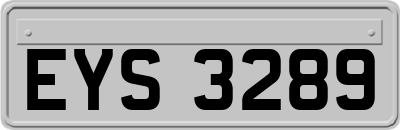 EYS3289