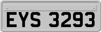 EYS3293
