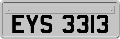 EYS3313