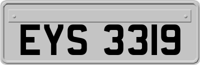 EYS3319