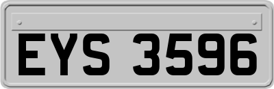 EYS3596