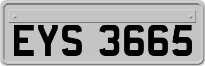 EYS3665