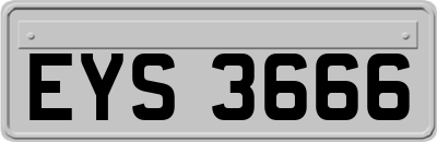 EYS3666