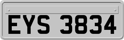 EYS3834