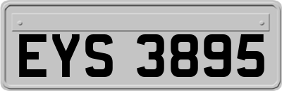 EYS3895