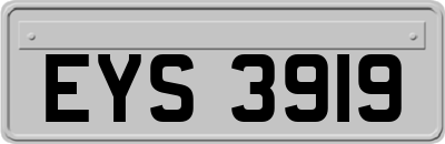 EYS3919