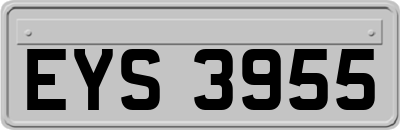 EYS3955