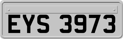 EYS3973