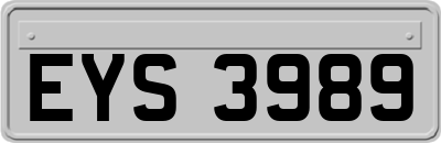 EYS3989