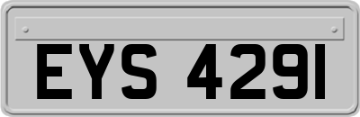 EYS4291