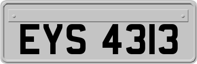 EYS4313