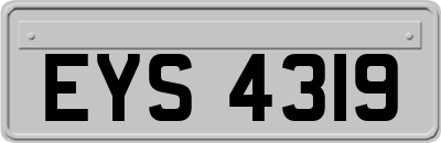 EYS4319