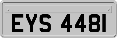 EYS4481